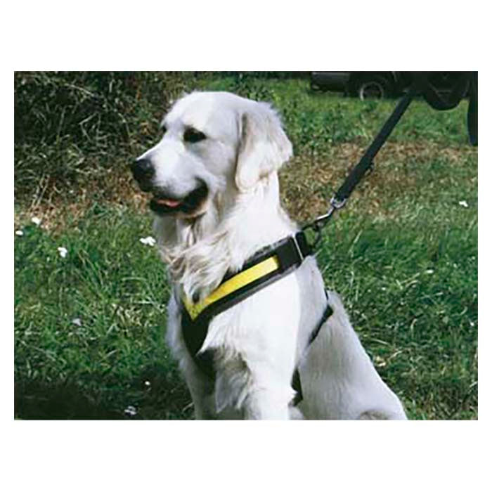 Hundsele MIMsafe Allsafe- X-Large (4)
