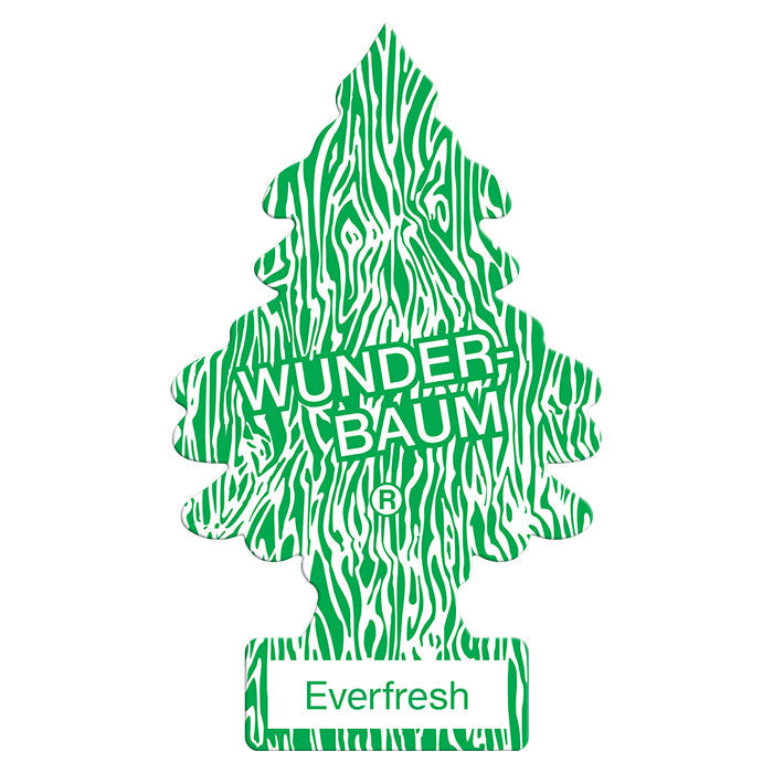 1 st. Wunderbaum Everfresh (2)