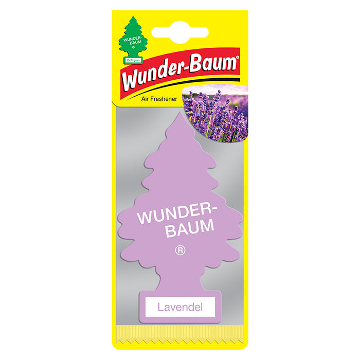 1 st. Wunderbaum Lavendel