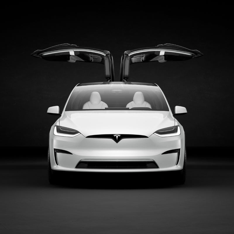 Tesla Modell X - GreenGoing