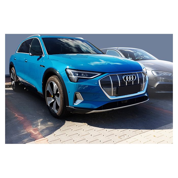Lastkantsskydd Audi E-Tron 2018- Stål (Avisa)