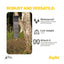 Aqiila SunBird P56 Hopfällbar Solcellsladdare 45W (7)