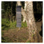 Aqiila SunBird P56 Hopfällbar Solcellsladdare 45W (9)