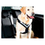 Hundsele MIMsafe Allsafe - Large (3)