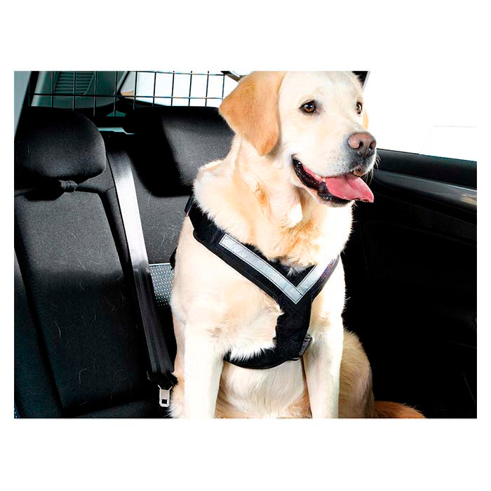Hundsele MIMsafe Allsafe - Large (3)
