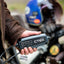 Ctek laddare CT5 Powersport EU Lithium och LA batterier (5)