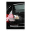 Autoglym Coating och Shampoo set (6)