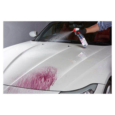 Autoglym Magma kit 5L (2)