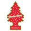 1 st. Wunderbaum jordgubbe (2)