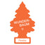 1 st Wunderbaum persika (2)