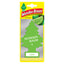 1 st. Wunderbaum "Lime"