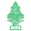 1 st. Wunderbaum Everfresh (2)