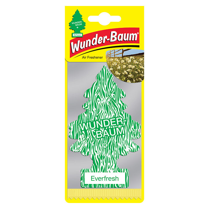 1 st. Wunderbaum Everfresh