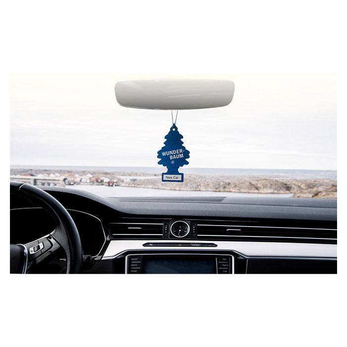 1 st Wunderbaum New Car (3)