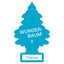 1 st Wunderbaum tropical (2)