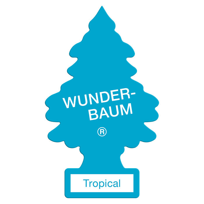 1 st Wunderbaum tropical (2)