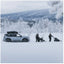 Thule Motion 3 M black glossy (10)