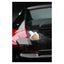 Autoglym Ultra High Definition Ceramic Coating - GreenGoing