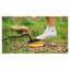 Easy Camp Fodpumpe 3 L - GreenGoing